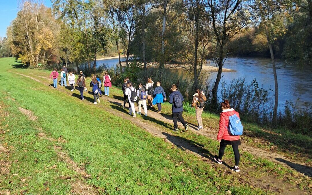 Terenska nastava u Međimurje