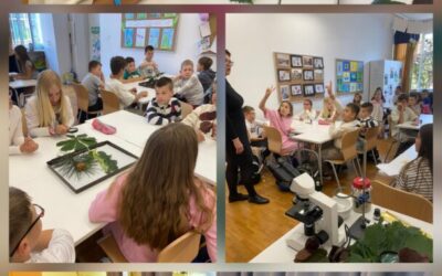 Projektni dan – Šume – Starčevići istražuju